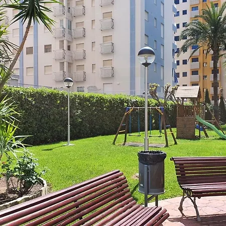 Palmeras Iii Gandia - Alquiler Solo Familias